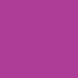 Purple label - Women's Toby Jogger Pant [1]