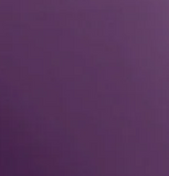 Spandex Stretch - Women's Kim V-Neck Top