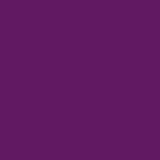 Purple label - Women's Jasmin V-Neck Stretch Solid Top