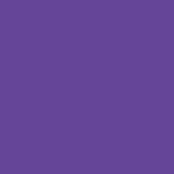 Purple label - Women's Tori Yoga Solid Pant [4]