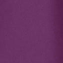 Purple label - Women's Taylor Solid Scrub Pant